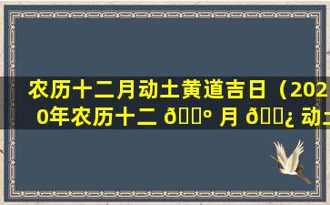 农历十二月动土黄道吉日（2020年农历十二 🌺 月 🌿 动土黄道吉日）